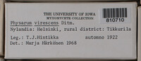 Image Associated With the Occurence